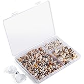 PPCLION 300pcs Shell Beads Starfish Bracelet Making Kit Bracelet and Heart Beads Elastic Threads for Jewelry Necklace Making