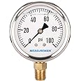 MEASUREMAN 2-1/2" Dial Size, Glycerin Filled Plumbing Pressure Gauge, 0-100psi, Stainless Steel Case, 1/4" NPT Lower Mount
