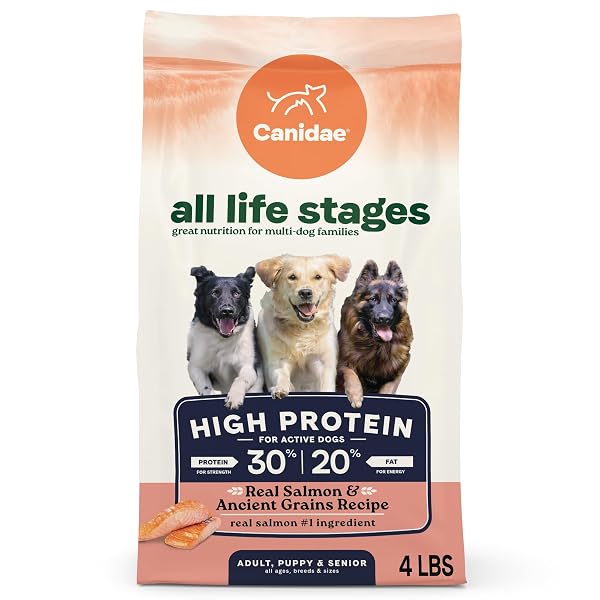 CANIDAE ALL LIFE STAGES HIGH PROTEIN DRY DOG...