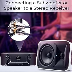 Elite Audio Pro Series 20ft. 2-Channel Car Audio