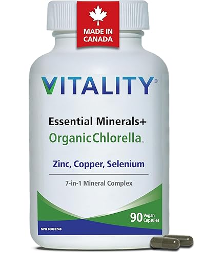 VITALITY Time Release B Complex + Vitamin C 600 mg - For Energy