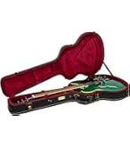 Amazon.com: Epiphone Case for Epiphone Dot, Sheraton, 335