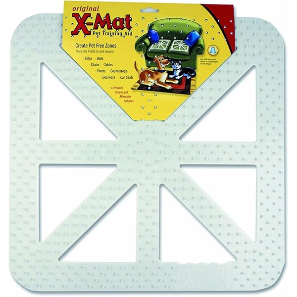 reptiles for sale online