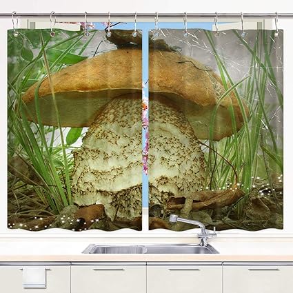Amazon Com Mushroom Kitchen Curtains Huge Fantasy Mushroom In