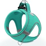 Joytale Step in Dog Harness Teal XS-XXXS Reflective Mesh Easy Walk