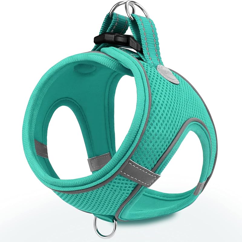 Joytale XXS Step In Dog Harness Teal Reflective Breathable Mesh