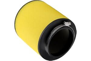 SOLLON 17254-HPO-A00 Air Filter for Honda pioneer 700 Foreman 500 Rincon 680 4x4 Big Red 700 MUV700 TRX680FA TRX680FGA TRX500FM TRX500FE SXS700M2 Rubicon 500 4x4 TRX500FA TRX500FPA
