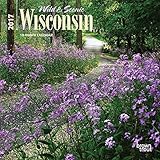 Wisconsin, Wild & Scenic 2017 Mini 7x7 by