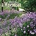 Wisconsin, Wild & Scenic 2017 Mini 7x7 by