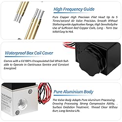 TAILONZ PNEUMATIC 1/8 inch NPT 12V/24V/110V/220V 3