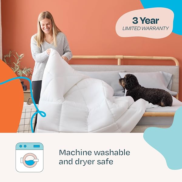LINENSPA WHITE DOWN ALTERNATIVE COMFORTER AND DUVET INSERT – ALL-SEASON COMFORTER WITH BOX STITCH AND 8 DUVET LOOPS – BEDDING FOR KIDS, TEENS, AND ADULTS – QUEEN