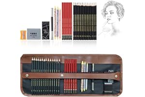 Heshengping Drawing Pencils Sketch Pencil Art Supplies Set for Kids Adults beginners Professional Sketching Art Graphite Charcoal Blending Stump Pencils kit