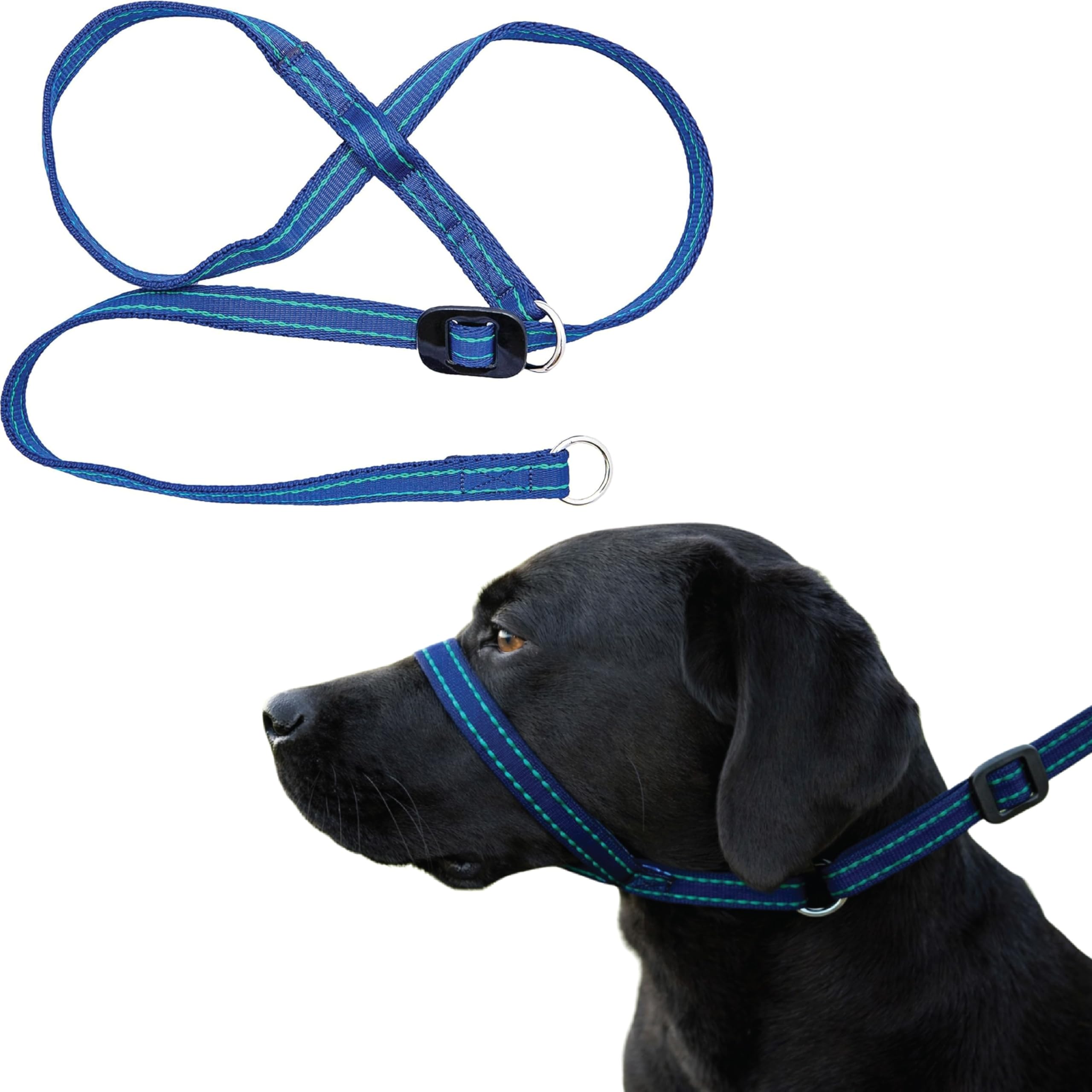 Gencon - Extra Large Anti Pull Dog Headcollar - Trainer Approved - Soft & Gentle Control - Practical Dog Training & Behaviour Aid - Left Hand - UK Made - Doesn't Include Lead - Navy/Jade