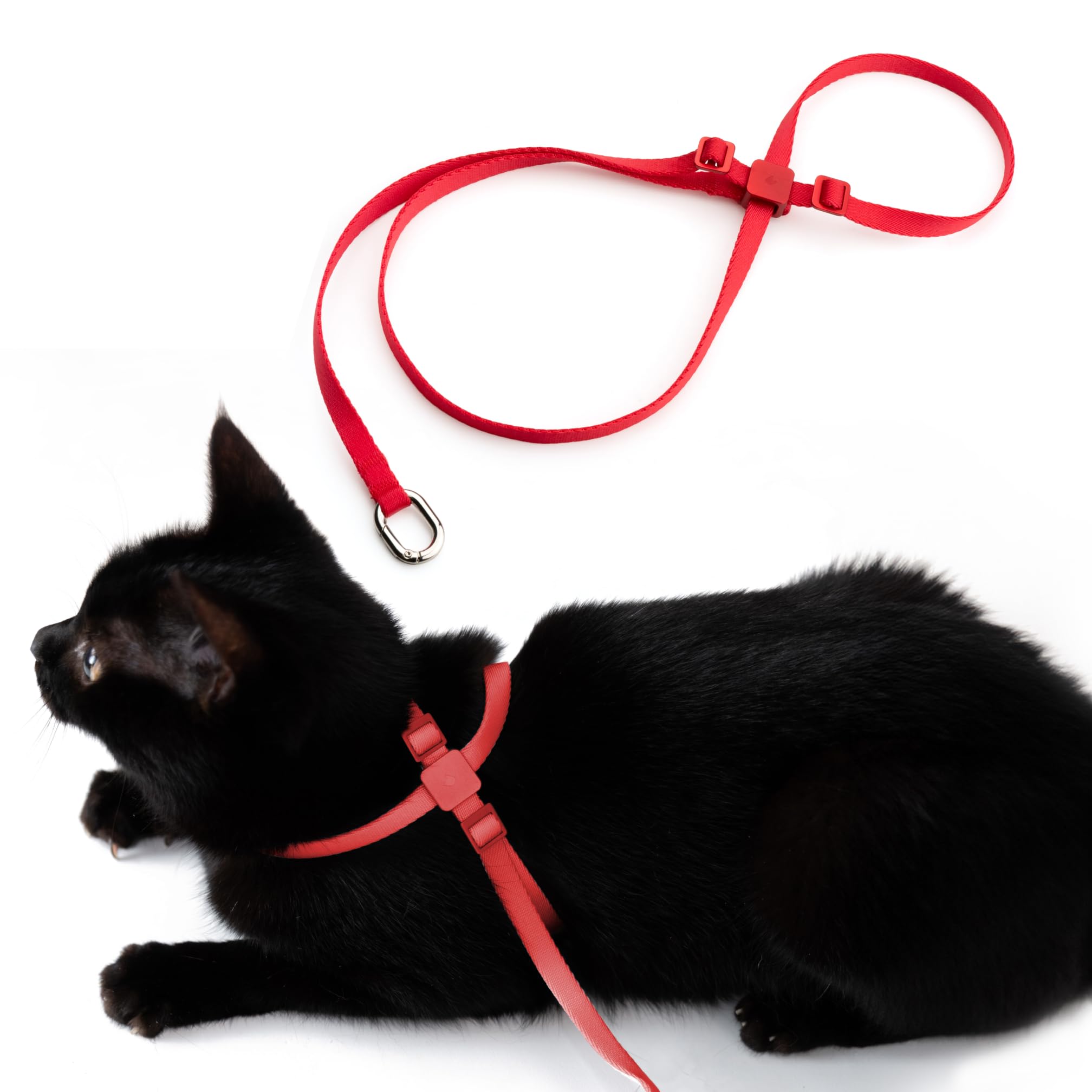 BuddyArmor Escape Proof Cat Harness 8 Shape Anti-Choke Kitten Harness Adjustable Lightweight Secure Soft Nylon for Small Medium Large Cats Outdoor Walking Training Hiking (Vivid Red, S)
