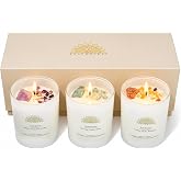 AvaConcept Healing Crystal Candle Gift Set &ndash; Set of 3 Amethyst, Amazonite | &amp; Sunstone Hand-Poured Soy Wax Lavender Jasmine, Coastal Breeze &amp; Jungle Attachment Aromatherapy 3.5oz Each Premium Gift Box
