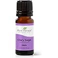 Plant Therapy Clary Sage Essential Oil 100% Pure, Undiluted, Natural Aromatherapy, Therapeutic Grade 10 mL (1/3 oz)