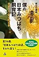 僕の日本みつばち飼育記: 里山は今日も蜂日和