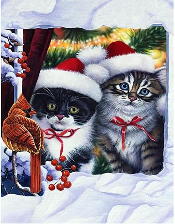 Lhyxh Moge Diamant Peinture De Noel Chats Fleur Oiseaux Diamant Broderie Chat Fleur Mosaique Diamant Peinture Femelle Chat Set En Hiver Amazon Fr Cuisine Maison