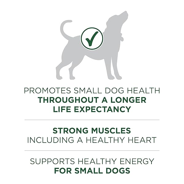 PURINA ONE PLUS SMALL BREED LAMB AND RICE FORMULA DRY DOG FOOD – 7.4 LB. BAG
