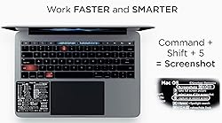 SYNERLOGIC (3pk) MacOS M1+Intel Monterey/Big