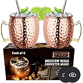 LIVEHITOP Moscow Mule Copper Mugs Set of 2, Copper Cups 19.5 Oz Cocktail Kit with Straw Coaster for Wine, Beer, Cold Drink, B