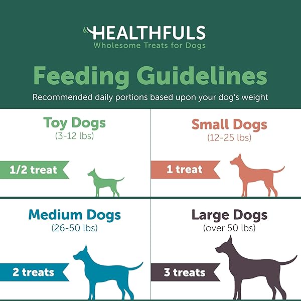 HEALTHFULS SWEET POTATO SLICES DOG TREATS, 16OZ