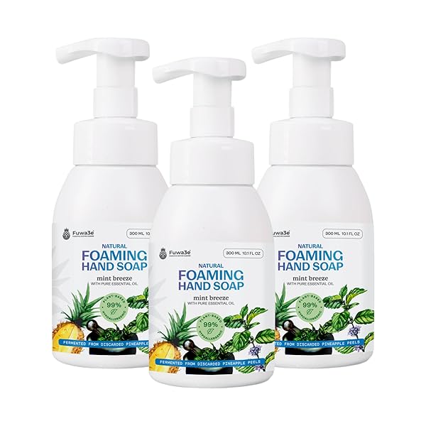 FUWA3E PINEAPPLE ENZYME NATURAL FOAM HAND WASH MINT...