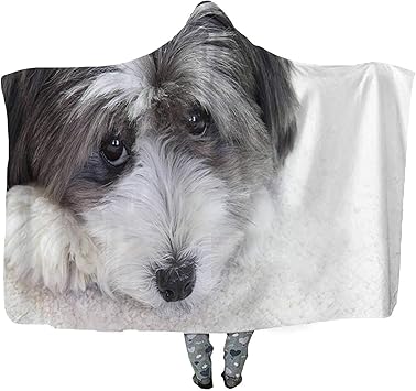 Amazon Com Cudevs Cute Little Black And White Long Haired Dog