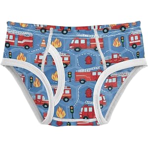 Axolotls Boys' Underwear Cotton Boys Briefs Soft Toddler Underwear 2T