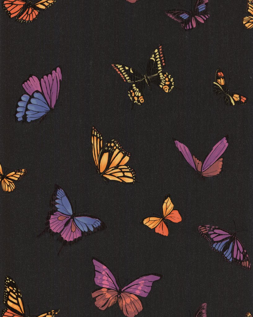 Amazoncom Graham Brown 31 174 Fabulous Flutter Wildlife
