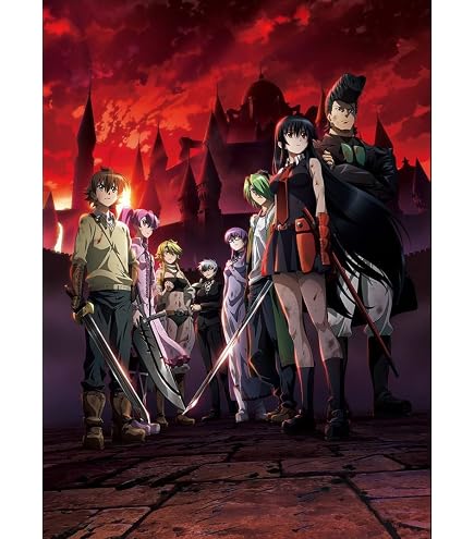 Amazon.com: Wall Station Akame ga Kill Customized 24x33 inch Silk