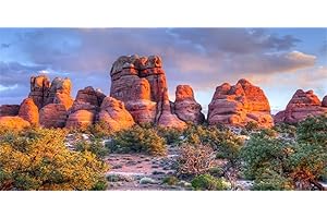 YongFoto Reptile Terrarium Background 36x18 inch Reptile Tank Background Desert Rocky Bush Thorns Western Wilderness Reptile Habitat Background Bearded Dragon Fish Tank Aquarium Background Backdrop