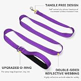 Joytale Padded Handle Dog Lead Double-Sided Reflective Nylon Purple 1.2m view 5