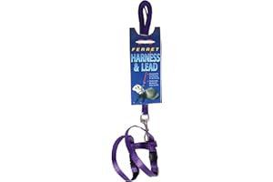 MARSHALL PET PRODUCTS Marshall Ferret Harness and Lead Set – 48" – Purple Color – Adjustable 3/8" Flat Nylon with Quick-Snap Buckles – Escape-Resistant Design – Lead Included