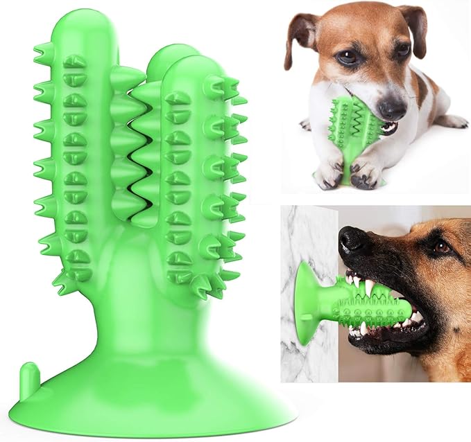 dog toy cactus with cactus inside