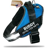 DOGGYKINGDOM Personalized Dog Harness with Custom Name Patches, Adjustable Reflective No Choke Dog Vest with Handle for Medium Sized Dog, Blue, M
