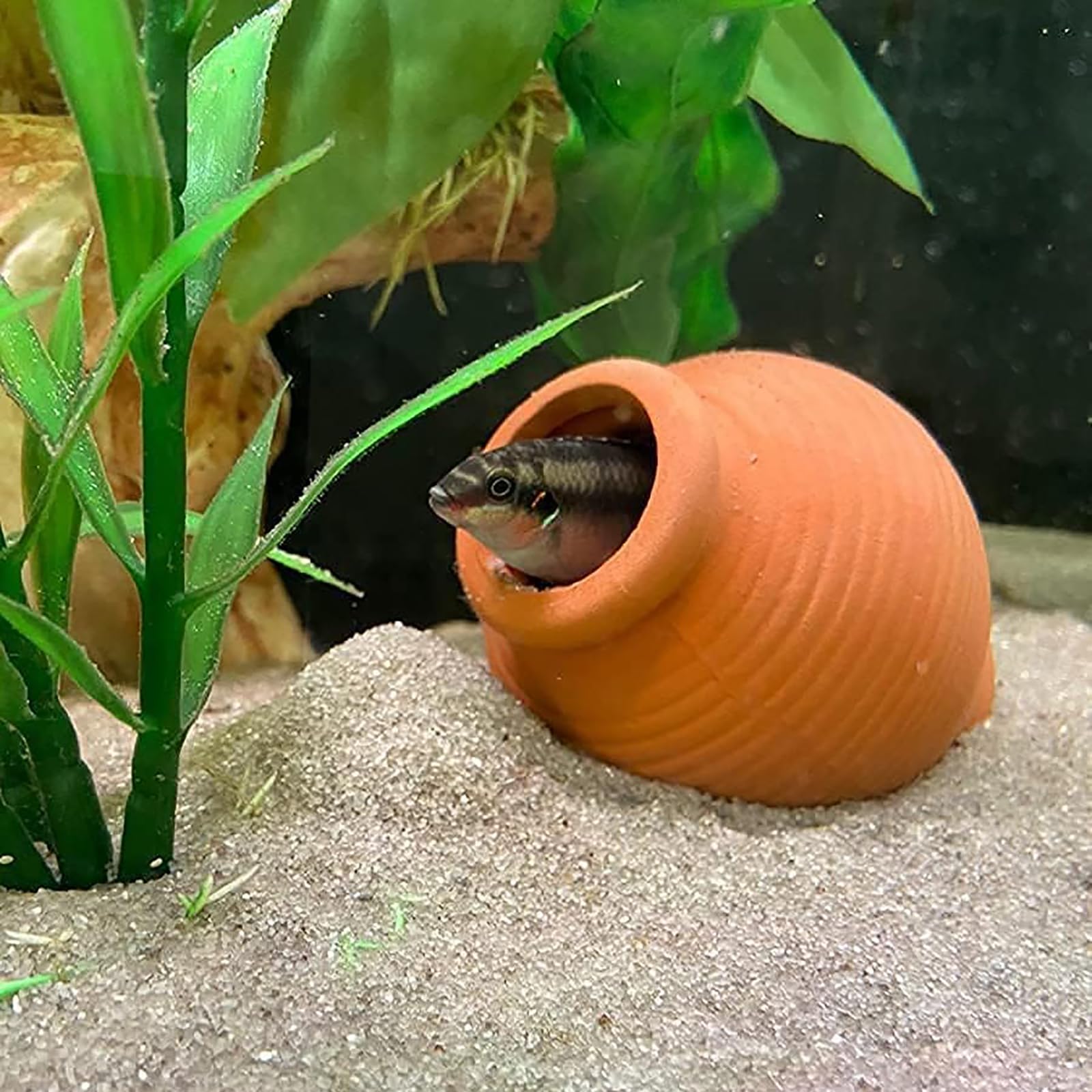 ANMOO Aquarium Cave, Aquarium Fish Tank Ornaments Ceramic Cave For Small Aquatic Pets Betta Breeding/Play/Hide, Non-Toxic Fish Tank Deocration