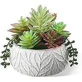 yel canby 6 Inch Artificial Succulent Plant in White Ceramic Pot - Realistic Fake Succulent for Home Office Desk Bathroom Decor Coffee Table Decor