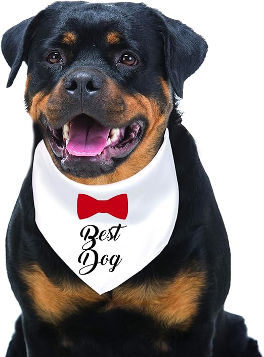 best dog bandana wedding