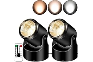 FZWLE 2 Pack Dimmable Spot Lights Indoor, 3W Uplighting Indoor with Timer and Remote, Plant Spotlight Indoor, 3000K/4000K/5000K Adjustable LED Up Lights, Floor Spotlight for Plants Pictures