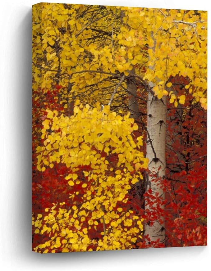 home depot wenatchee washington