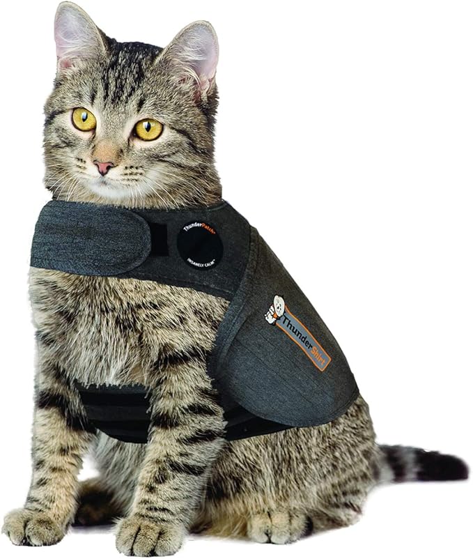 Thundershirt Veste pour Chat Gris Taille L Amazon.fr Animalerie
