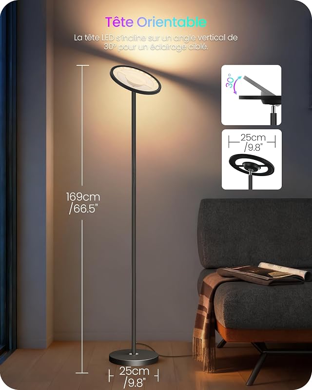 Compatible avec Alexa, Sync. Musicale, 30 W, Lumineuse Ajustable de 10-100%, Minuterie, pour Salon, Noir