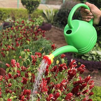 Go Hooked Premium Plastic Watering Can for Plants (Green) (1.8 Litre)