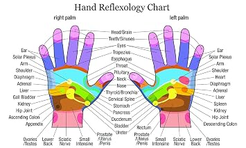Chicbanners Wandaufkleber Wandsticker Motiv Handreflexzonen