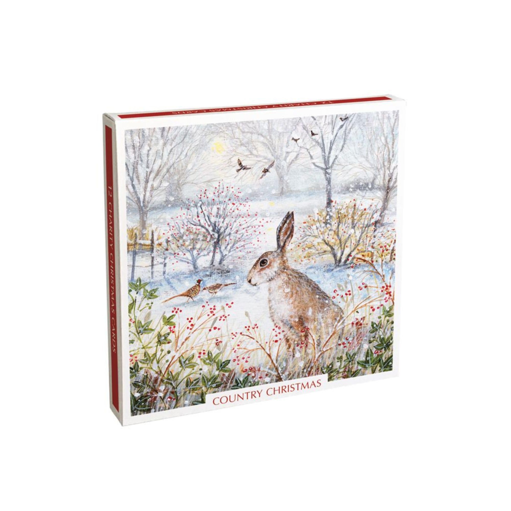 Museums & Galleries Box of 12 Artistic Christmas Cards (MG-XHT236) Designed by Renowned Artist and Illustrator Lucy Grossmith Country Christmas