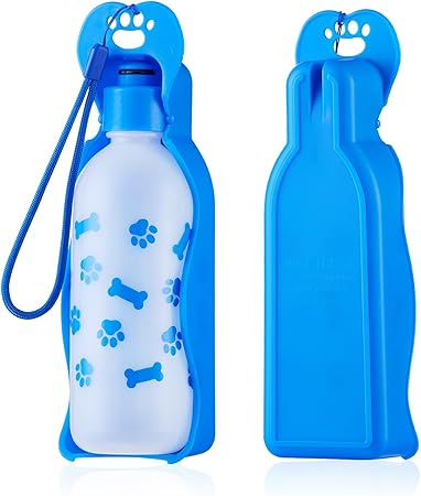 highwave dog water bottle
