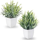 RUENVUE 2 Pack Small Fake Plants, Mini Artificial Greenery Potted Faux Plants for Indoor Home Room Office Kitchen Farmhouse Bathroom Desk Shelf and Table Decor