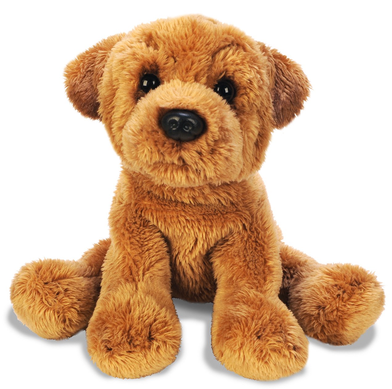 Yomiko Sharpei (Small)