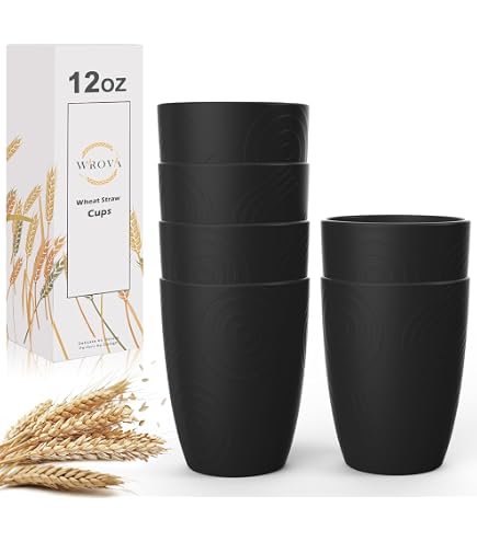 Party Cups KX-WARE 12-Pack 22 Oz Plastic Tumblers - Unbreakable, Dishwasher  Safe Drinking Glasses For Parties Black Solo Cups